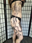 鳳凰　龍　dragon phoenix Japanese tattoo