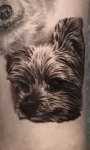 愛犬・ペットタトゥー
